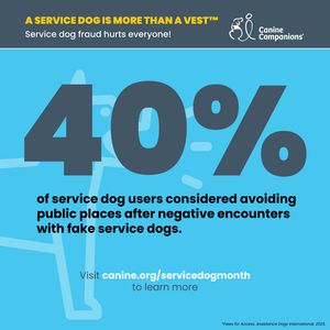 Image post by @canineorg on Instagram