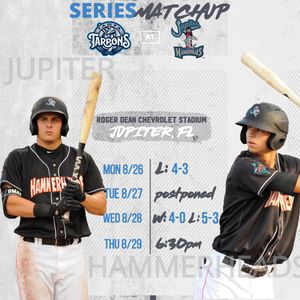 Image post by @GoHammerheads on Twitter