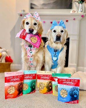 Image post by @charlee_bear_dogtreats on Instagram