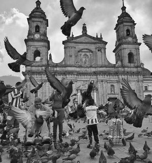 Image post by @yoamobogota on Instagram