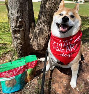 Image post by @charlee_bear_dogtreats on Instagram