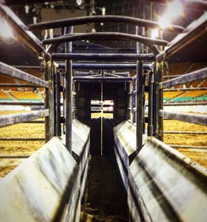 Image post by @nationalwestern on Instagram
