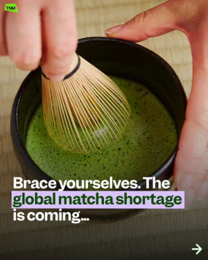Image post by @thenewsmovement on TikTok