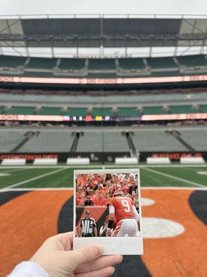 Image post by @bengals on Instagram