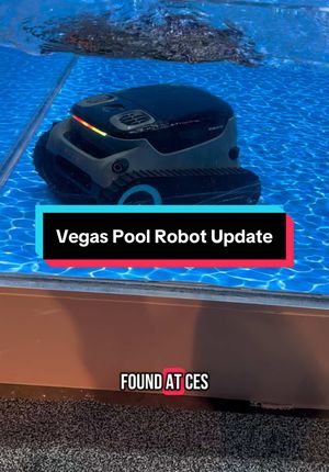 Video post by @vegasstarfish on TikTok