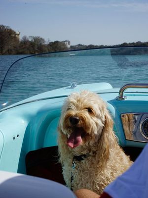 Image post by @retroboatrentalsatx on Facebook