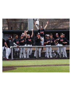Image post by @semo_baseball on Instagram