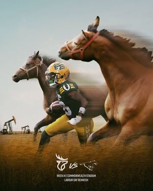 Image post by @goelks on Instagram