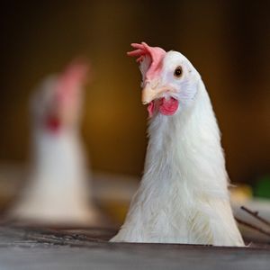 Image post by @txextension on Instagram