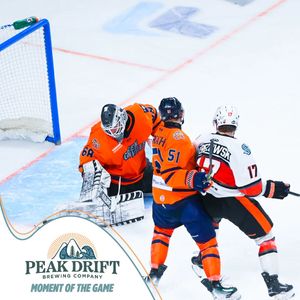 Image post by @swamprabbits on Instagram