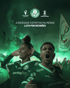 Image post by @palmeiras on Instagram