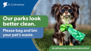 Image post by @cityofstcatharines on Instagram