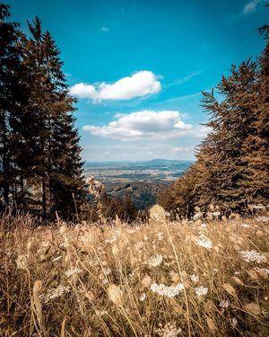 Image post by @cristan.nature.photography on Instagram