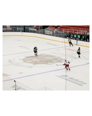 Image post by @bulldogsohl on Instagram