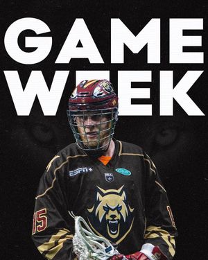 Image post by @albfirewolves on Instagram