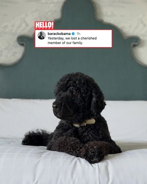Image post by @hellocanadamag on Instagram
