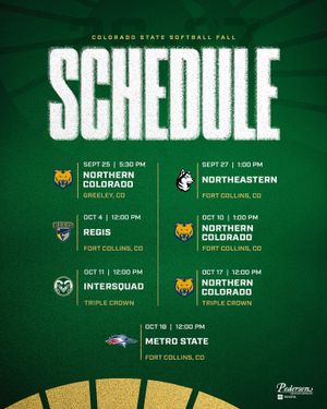 Image post by @csusoftball on Instagram