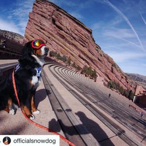 Image post by @uchealth on Instagram