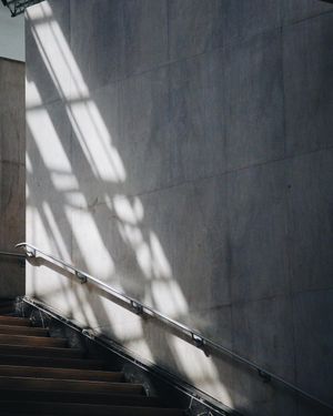 Image post by @roosanchez on Instagram