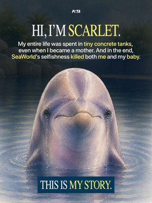 Image post by @peta on Instagram
