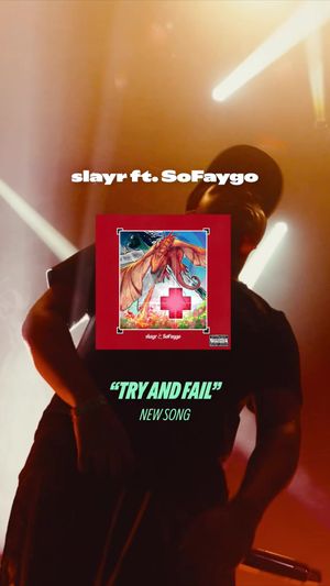 Video post by @spotify on TikTok