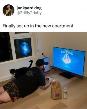 Video post by @brgaming on TikTok