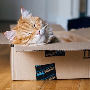 Image post by @amazon on Instagram