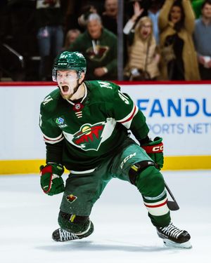 Image post by @minnesotawild on Instagram