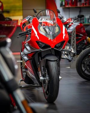 Image post by @panigalers on Instagram