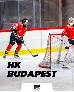 Image post by @dfel_official on Instagram