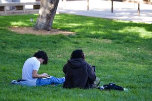 Image post by @utsastudents on Instagram