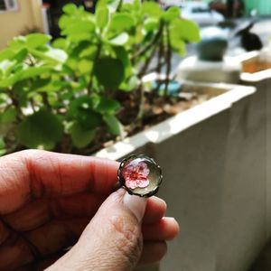 Image post by @leafyaffair on Instagram