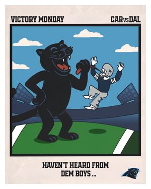 Video post by @panthers on TikTok