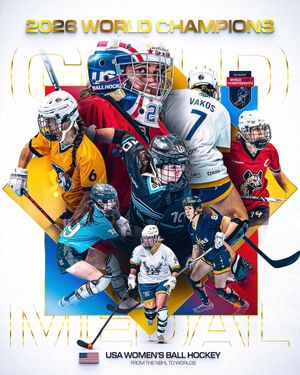 Image post by @nationalballhockeyleague on Instagram
