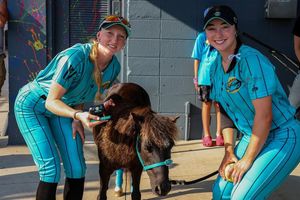 Image post by @madisonnightmares on Instagram