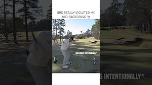 Video post by @brysondechambeau on YouTube
