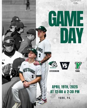 Image post by @stevensonbsb on Instagram