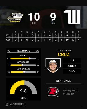 Image post by @GoPetrelsBSB on Twitter