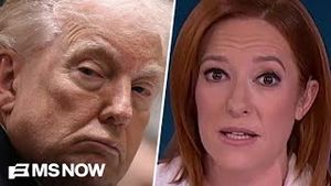 Video post by @msnbc on YouTube