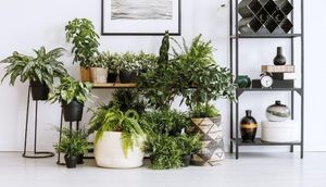 Image post by @villageattheblvd on Instagram
