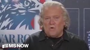 Video post by @msnbc on YouTube