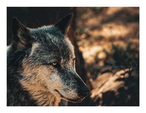 Image post by @leocouphoto on Instagram