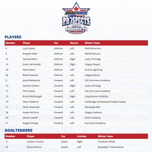 Image post by @draftdayhockey on Instagram