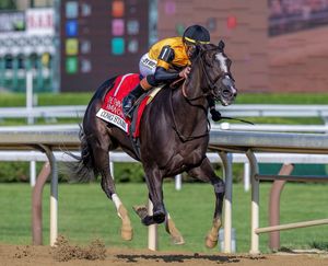 Image post by @thebloodhorse on Instagram