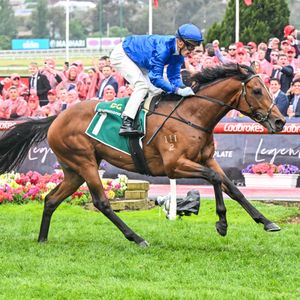 Image post by @godolphin on Instagram