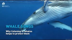 Video post by @unesco on YouTube