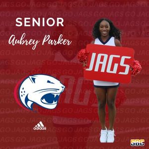 Image post by @southalabama.cheerleading on Facebook
