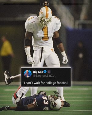 Image post by @barstooltenn on Instagram