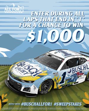 Image post by @BuschBeer on Twitter