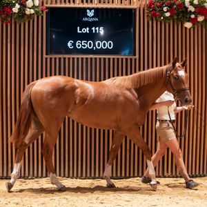 Image post by @juddmonte on Instagram